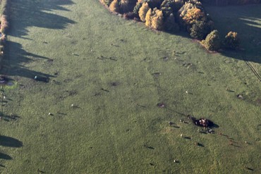 Schnitte_Wasserstelle - Kopie.jpg